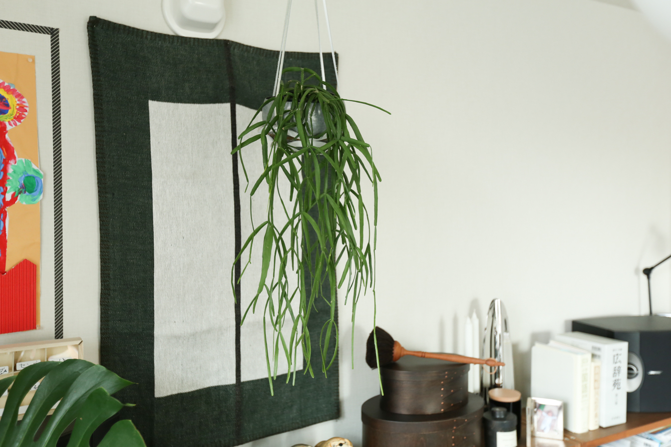 天井から植物をハンギングするときに使っているフック Small Spaces 狭くても快適に